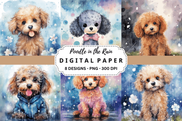 Download Cute Poodle in the Rain Background - Cute Collection